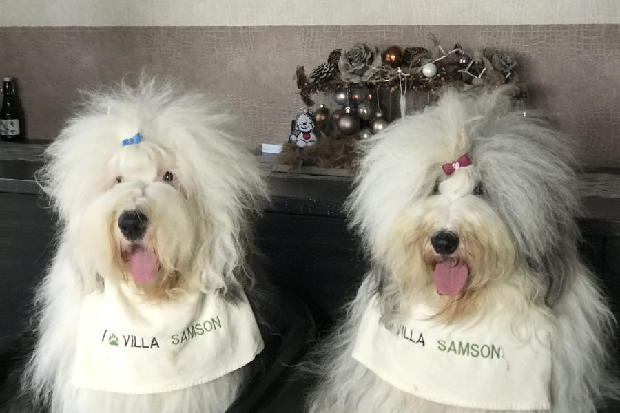 Villa_Samson_Samsonhonden_1